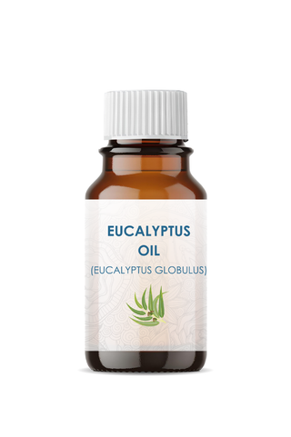 Infinity Naturals Eucalyptus Essential Oil زيت الأوكالبتوس العطري من إنفينيتي ناتشورالز
